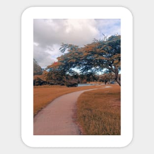 nature landscape, trees, walk path Sticker